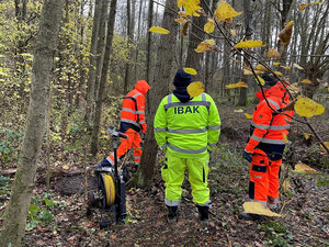 Einsatz mit der MainLite easy im Wald