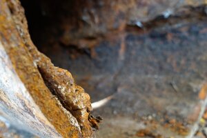 Detailaufnahme eines defekten Kanalrohrs